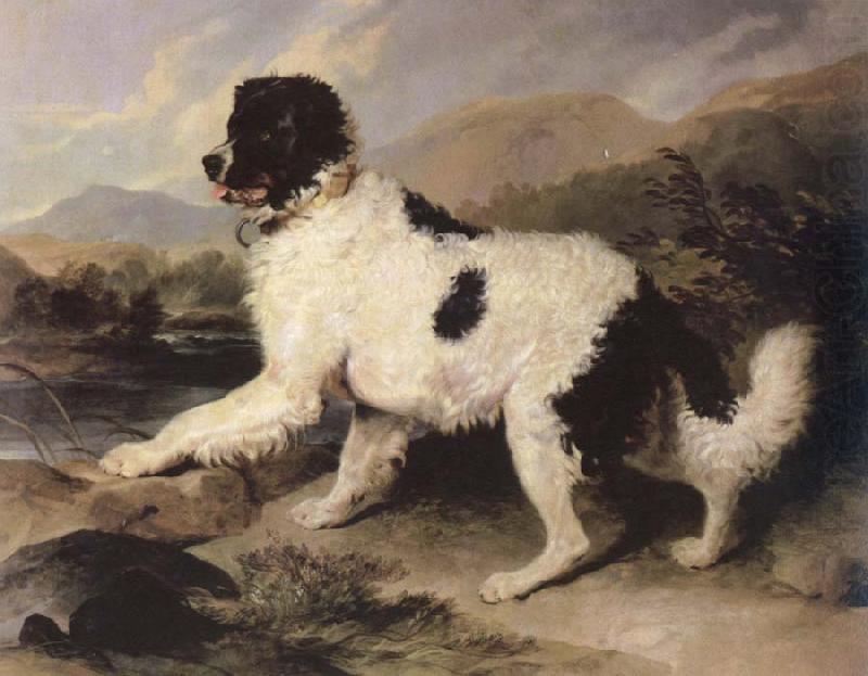 lion a newfoundland dog, Sir Edwin Landseer